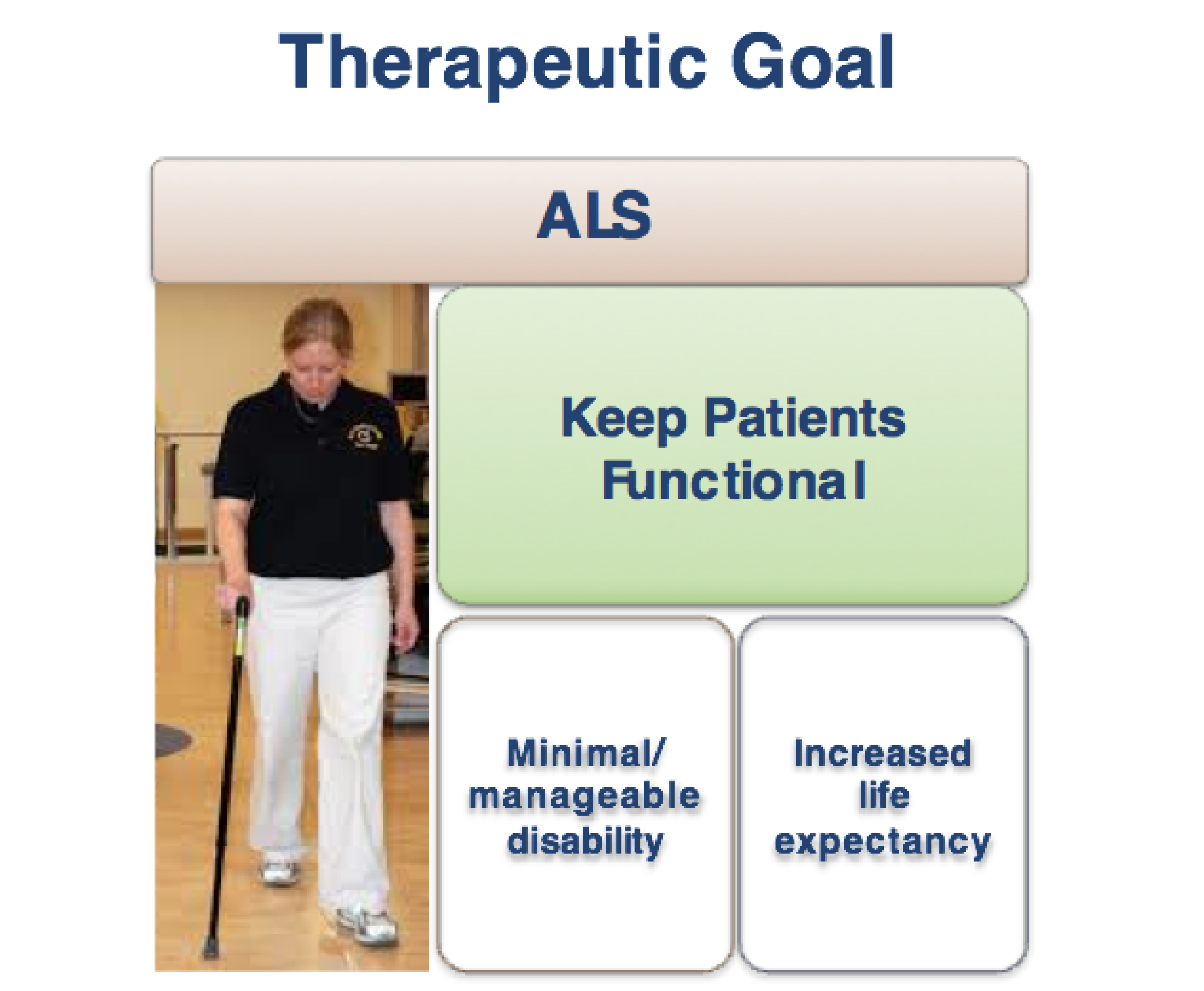 Research&Development TRANSLATIONAL PROGRAM