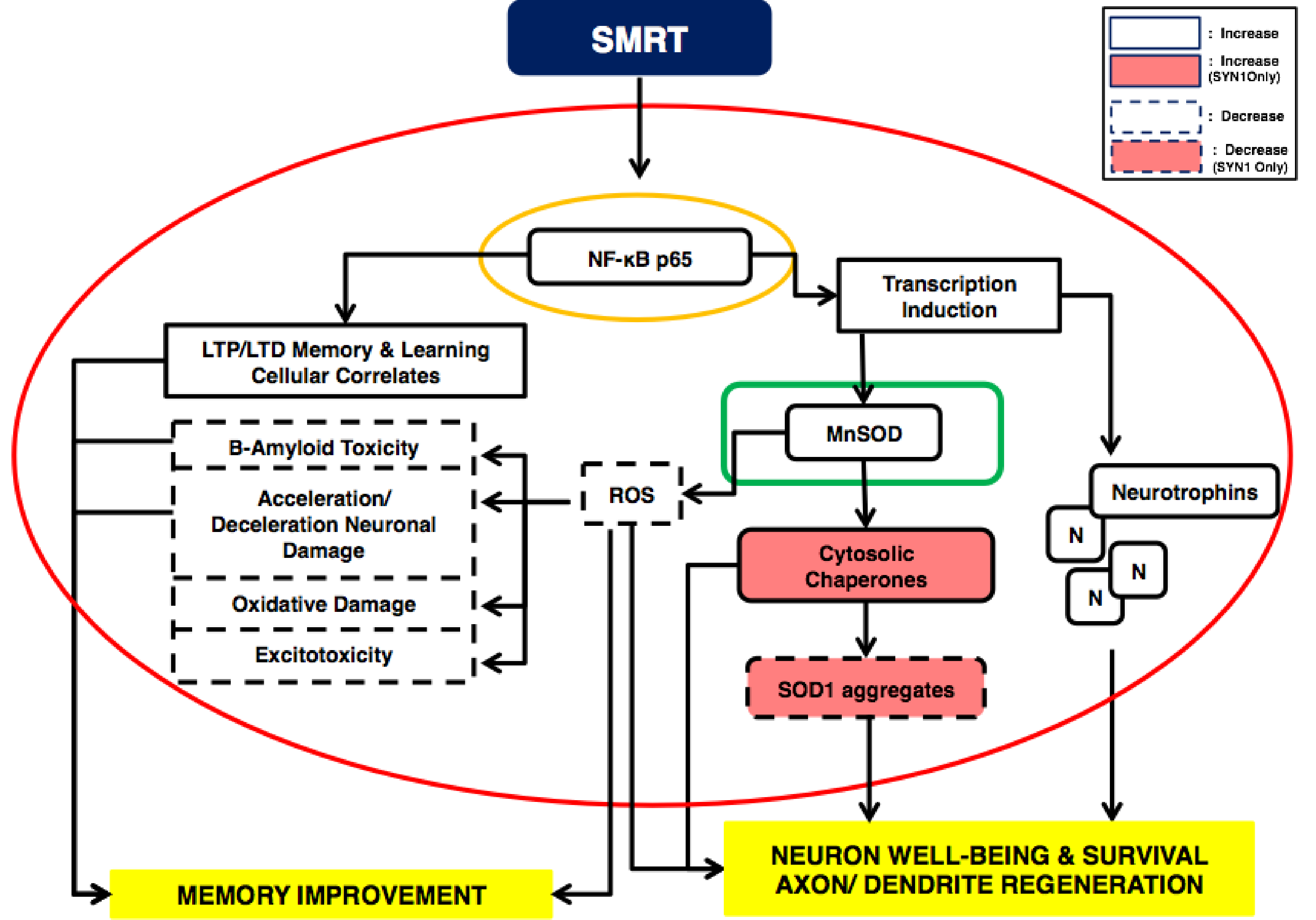 Research&Development Dual-Target Approach